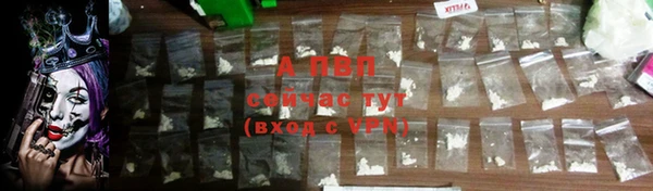 ECSTASY Дмитровск