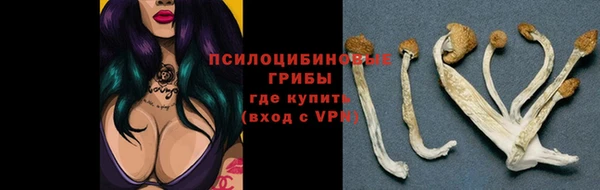 ECSTASY Дмитровск