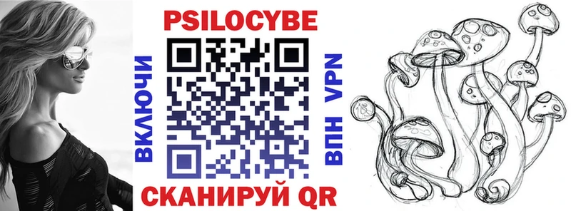 Галлюциногенные грибы мицелий  Купить закладки  Шилка 